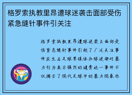 格罗索执教里昂遭球迷袭击面部受伤紧急缝针事件引关注 格罗索执教里昂遭球迷袭击面部受伤紧急缝针事件引关注